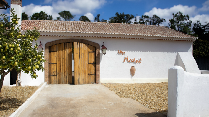 Adega Malápio