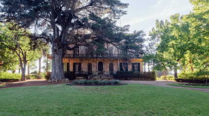 Quinta São João Batista, Tejo