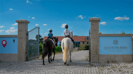 Quinta Madre de Água, Dão