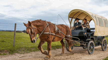 Quinta da Lagoalva, Tejo