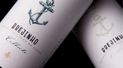 Visita e prova dos vinhos Colheita