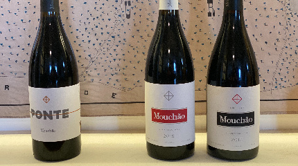 Visita à vinha e adega e prova de 5 vinhos 