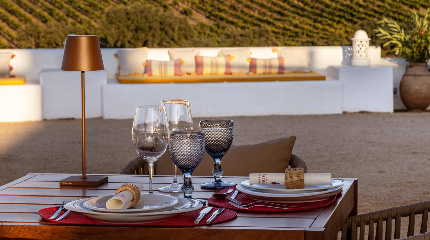 Visita com Prova de Vinhos e Almoço Tradicional