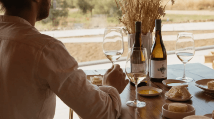 Visita e Prova de Vinho e Azeite