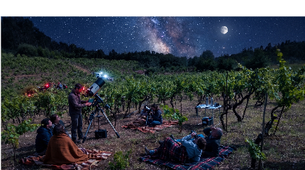 Night of Astronomy and Wine