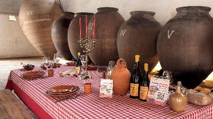 Visit to the Vineyard, Wine Tasting and Regional Lunch