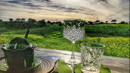 Visit & traditional tasting