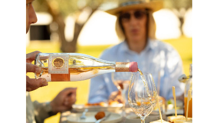 Wine Tasting of Three Wines 