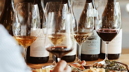 New & Old Vineyards - Portuguese