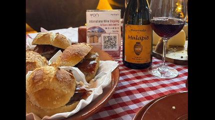 Visit to the Vineyard and Wine Tasting with Traditional Sandwiches