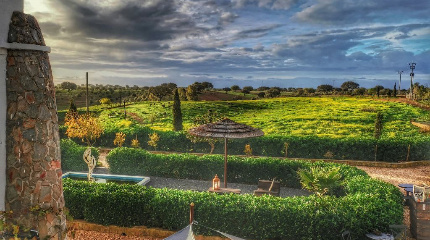 Visit and Premium Wine Tasting