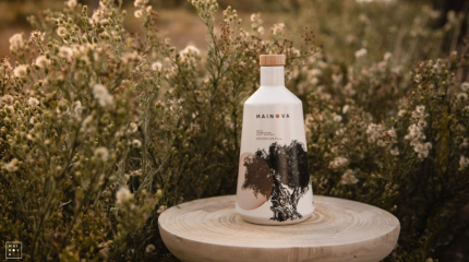 Visita e Prova de 4 Azeites