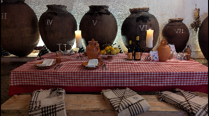 Wine tourism experience: Bairrada Amphora Wines, Malápio + Workshop