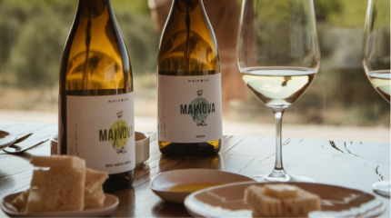 Visita e Prova de 3 Vinhos