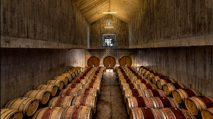 Barrel Tasting - Torre de Palma