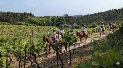 On Horseback through Bairrada