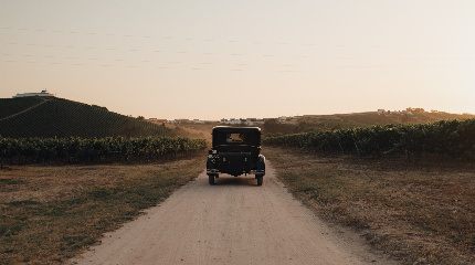 Almiara Roots & Tradition