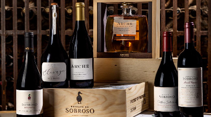 Visita Premium com Prova de Vinhos e Almoço