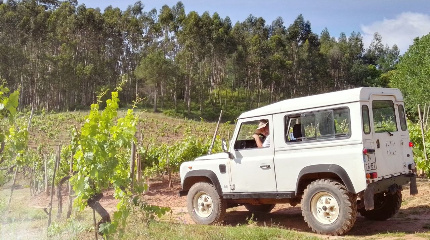Bairrada Terroir Jeep Tour